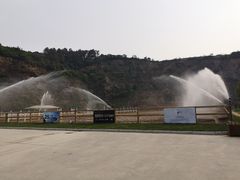 -枫露马术学院(藏书校区)
