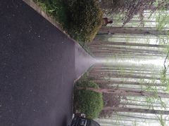 怡沁园度假村-上海怡沁园度假酒店