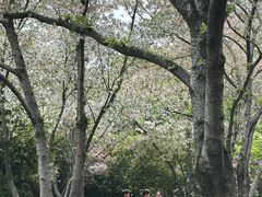 -尚贤河湿地
