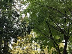 -上海市龙华烈士陵园