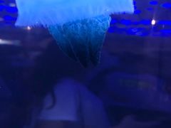-五缘湾悦都汇购物中心