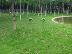 -艾溪湖湿地公园