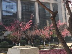 -西安交通大学(雁塔校区)
