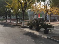 -上海市实验学校
