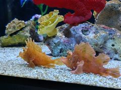 -上海海洋水族馆