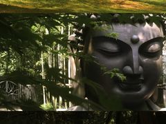 -杭州植物园