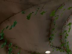 -梵几(东信·和创园店)