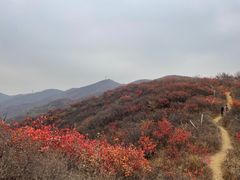 -北京西山国家森林公园