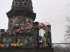 -云岗森林公园