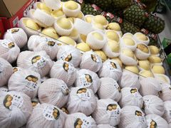 -绿叶水果(长沙蔡锷路店)