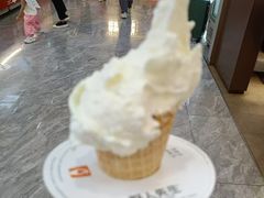 -野人先生现做冰淇淋(西安赛格店)