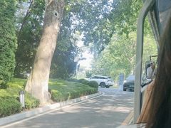 -棒棰岛宾馆景区