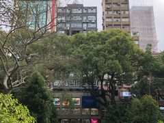 -九龙公园