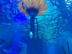 -沈阳海洋探索中心