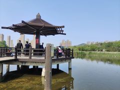 -前关湿地公园