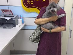 -中农国际动物医院24小时·猫科·骨科·急重症中心