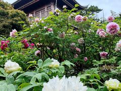 -龙华寺