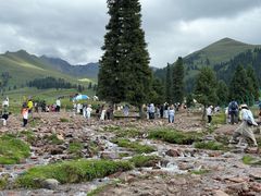-新疆那拉提国家旅游度假区
