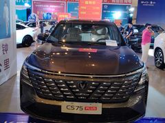 -三亚湾红树林国际会展中心(演出售票)