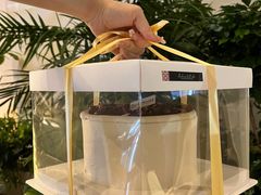 -Dark Horse·黑马蛋糕·低脂·低糖淡奶(金匙望湖大厦店)