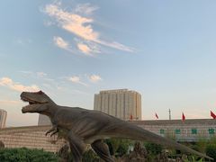 -陕西自然博物馆