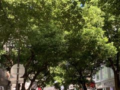 -雅戈尔富宫大酒店(观前街店)