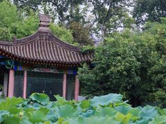 -莲湖公园
