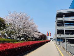 -IKEA宜家家居(南京商场)