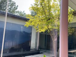 -爱儿美儿童摄影(朝阳公园店)