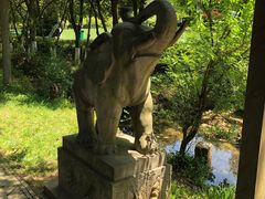 -白马涧龙池景区