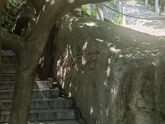-北京凤凰岭