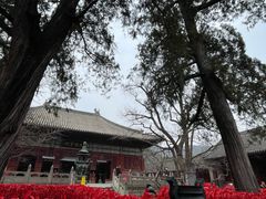 -红螺寺