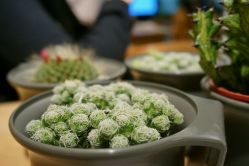 -悦诗风吟innisfree