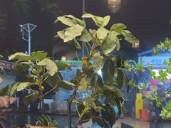 -尊品牛排(高能广场店)