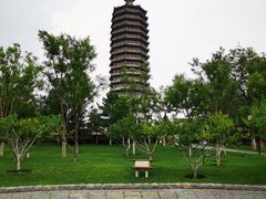 -西海子公园