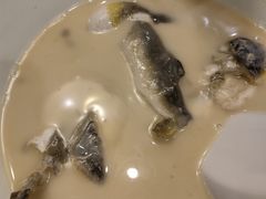 -孔庆璞河豚馆(白玉兰酒店)
