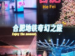 -合肥火车站(地铁站)