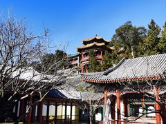 -宫事颐庭·老佛爷贵寿下午茶(颐和园店)