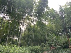 -杭州黄龙洞