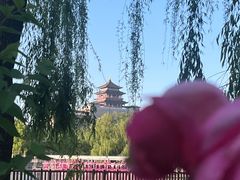 -莲花池公园