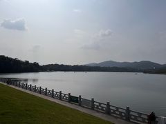 -佛手湖郊野公园