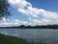-羊山湖公园