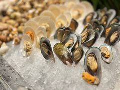 -顺德美的万豪酒店·自助餐·贡厨