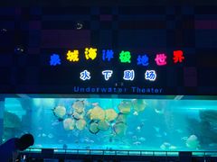 -泉城欧乐堡海洋极地世界