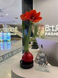 -时尚殿堂salon