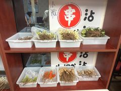 -小溅沾串