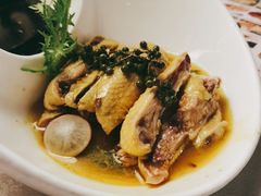 新派口水鸡-乾园(天河城店)