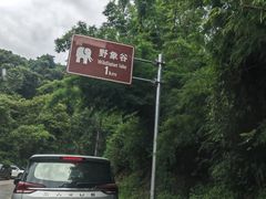 -野象谷景区