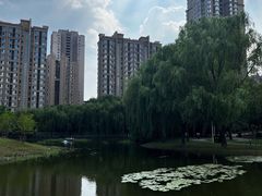 -仙女湖公园