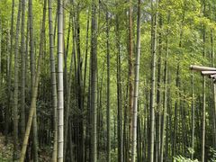 -罗田天堂寨风景区